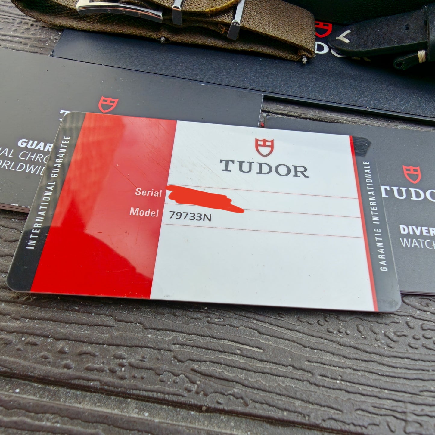 TUDOR Black Bay S&G 79733N