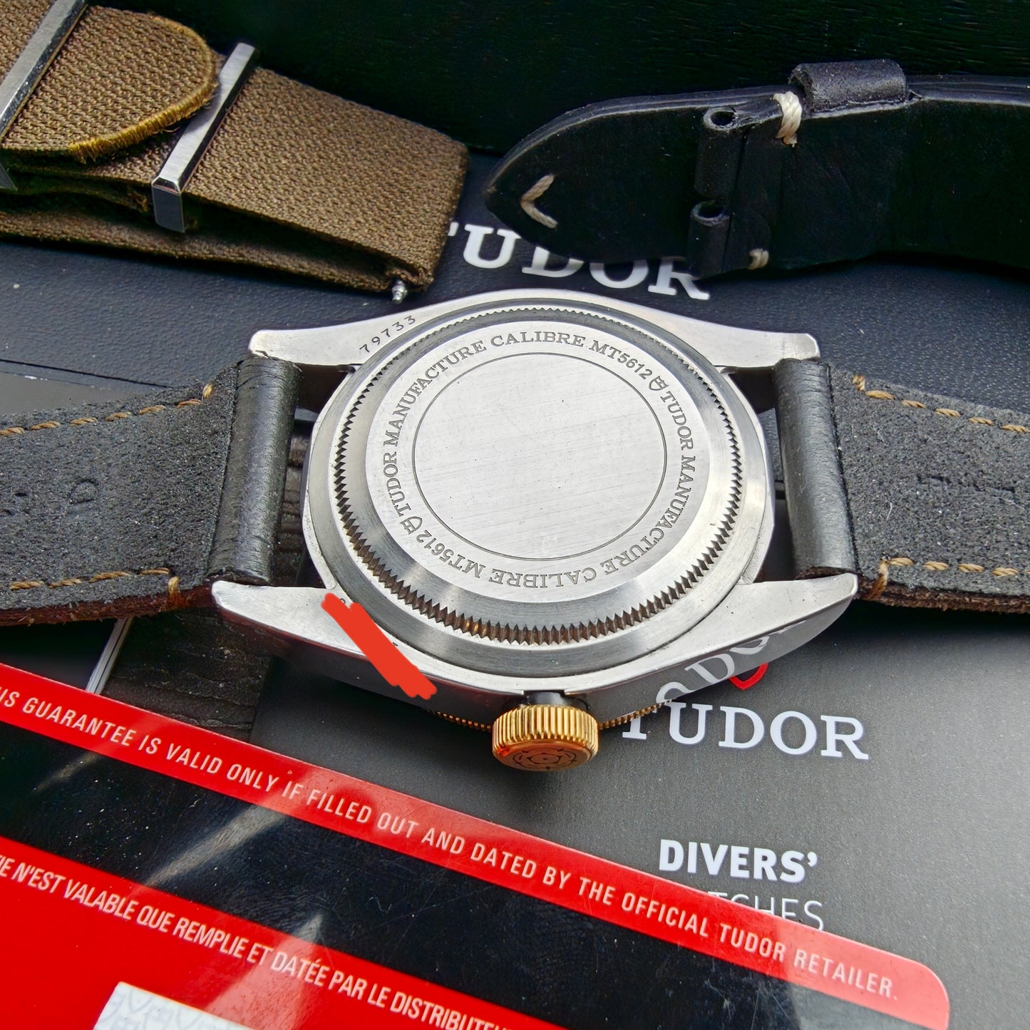 TUDOR Black Bay S&G 79733N